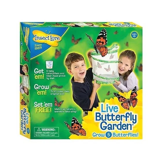 Insect Lore Live Butterfly Garden Kit