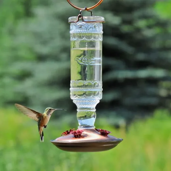 Antique Glass Bottle Hummingbird Feeder