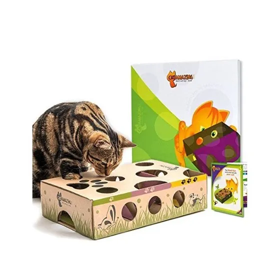Cat Amazing Interactive Treat Maze & Puzzle Feeder for Cats