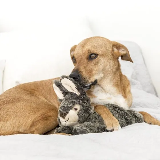 Fluff & Tuff Walter Wabbit Plush Dog Toy