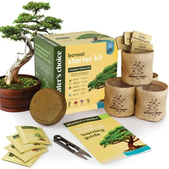 Bonsai Tree Kit for Beginners & Plant Lovers