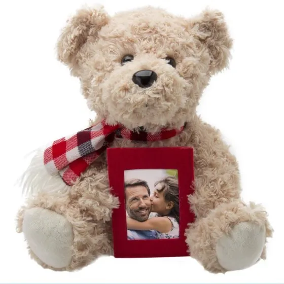 Teddy Bear with Picture Frame