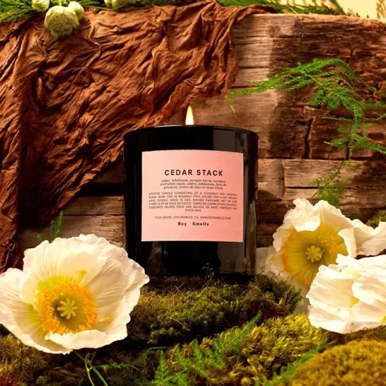 Boy Smells Cedar Stack