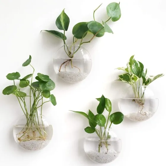 Mkono Wall Propagation Planters