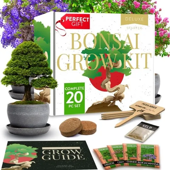 Home Grown Bonsai Tree Kit