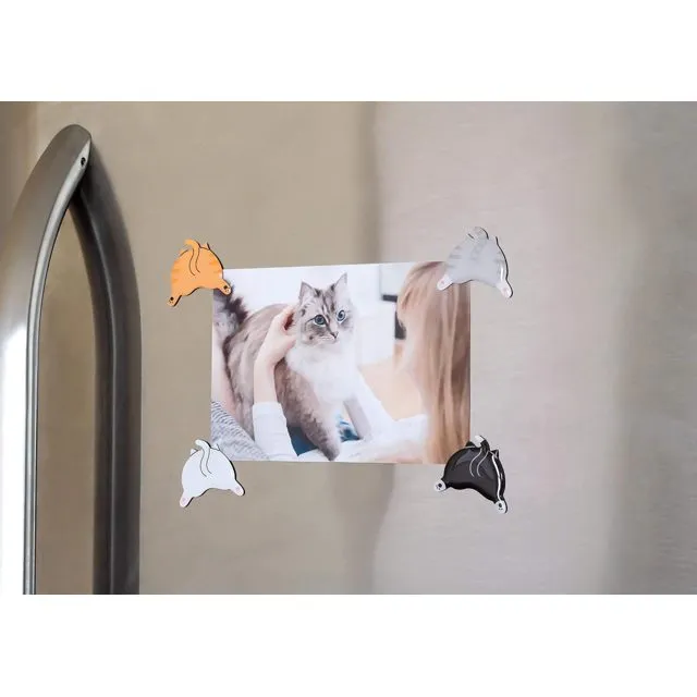 Cat Bum Kitchen Magnets, Set of 4