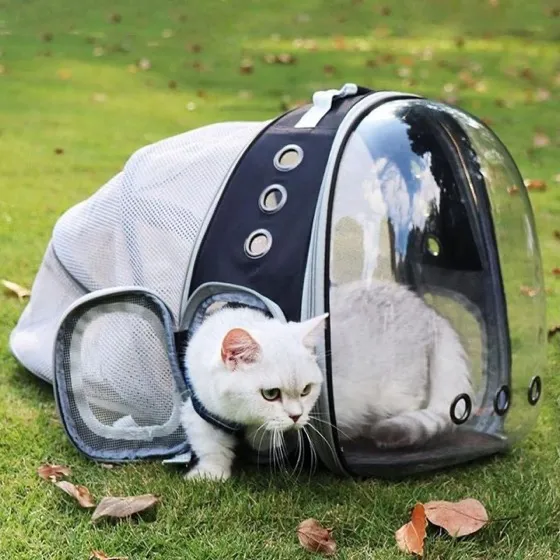 Cat Backpack Carrier with Bubble Window