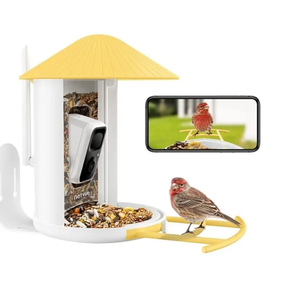 Netvue by Birdfy Smart Bird Feeder with AI Camera