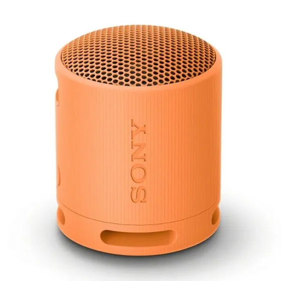 Sony Srs-xb100 Wireless Bluetooth Portable Lightweight Speaker