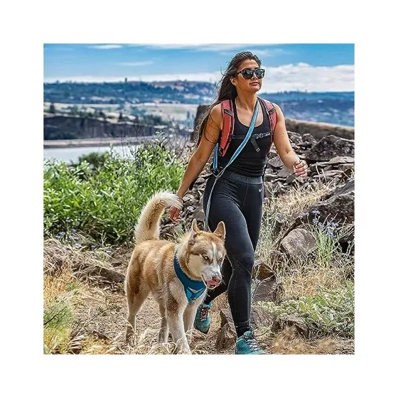 Kurgo Quantum Hands-Free 6-in-1 Dog Leash
