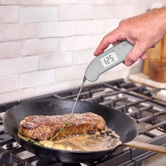 ThermoWorks Thermapen ONE