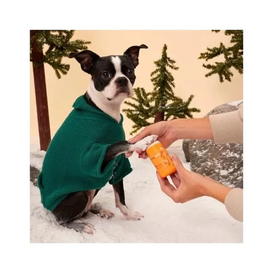WagWell Paw Protector