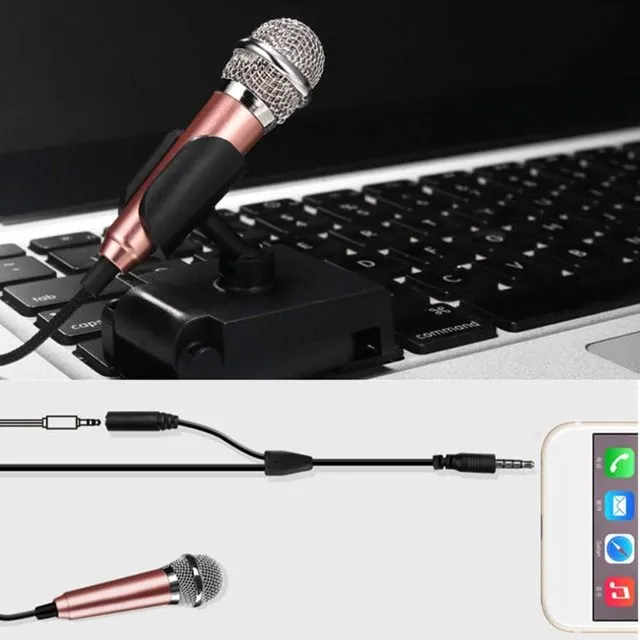 Mini Singing Mic