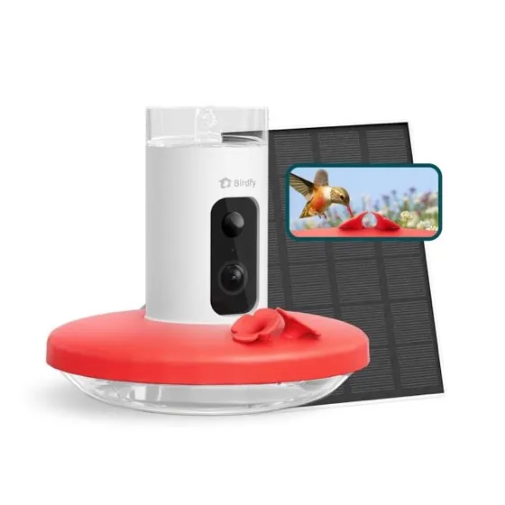 Birdfy Hummingbird Feeder with Camera Solar Powered